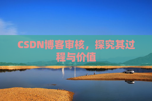 CSDN博客审核，探究其过程与价值